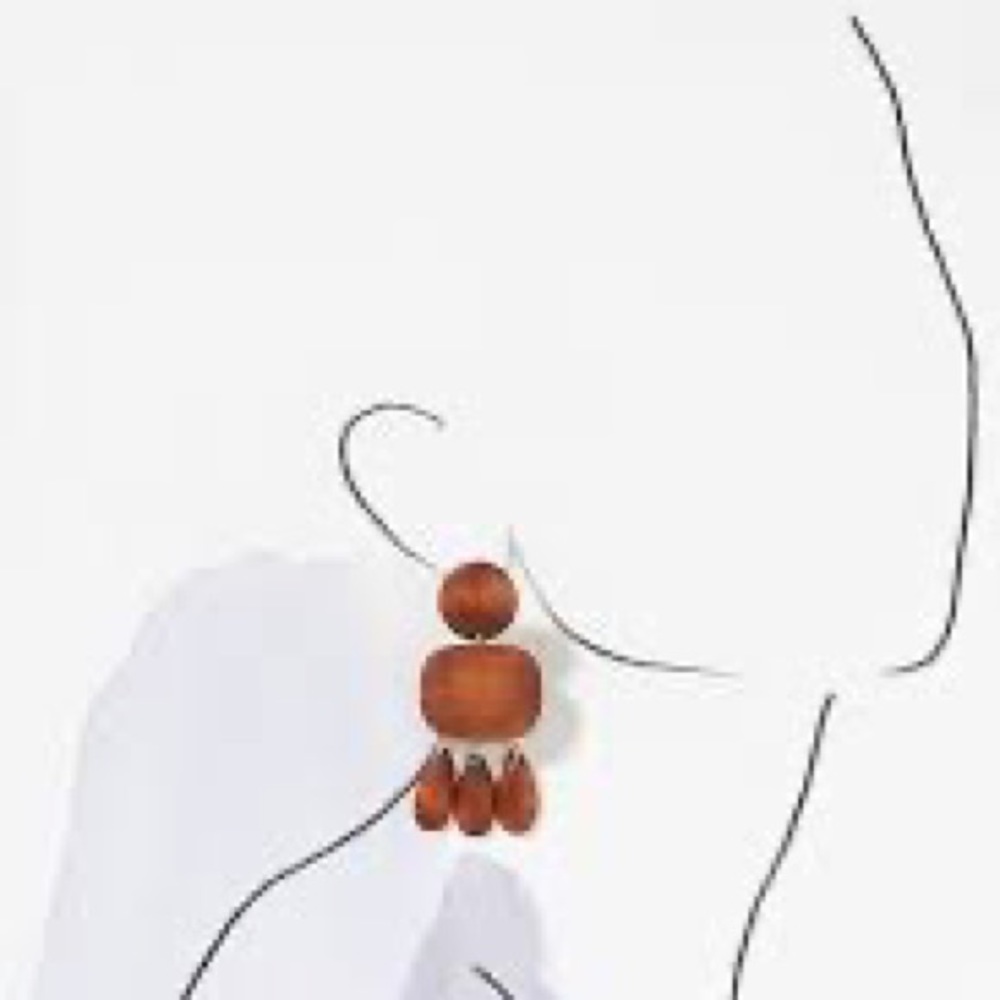 ISO Anthropologie Josephine Wooden Drop Earrings!!